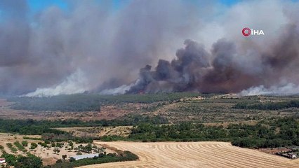 İstanbul'da orman yangını; yangının nedeni kahretti!