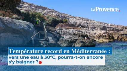 Température record en Méditerranée : vers une eau à 30°C, pourra-t-on encore s'y baigner ?