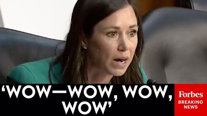 Katie Britt Stunned To Learn How Many Cartel Gang Members Are Currently Inside The United States