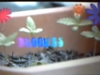 Hippie sylvain communaute hippie france journal EXCUSIF