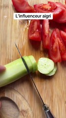 L’influenceur aigri : Découvrez son vrai visage 😐