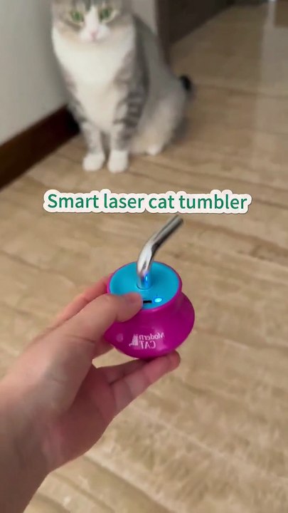 Cat toy wtnessentials.com