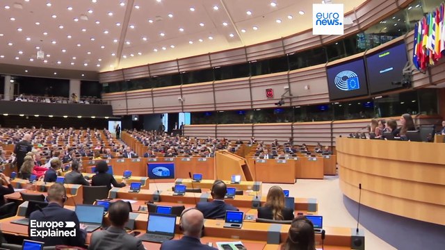 Вотум недоверия: как Европарламент может прекратить полномочия Еврокомиссии фон дер Ляйен