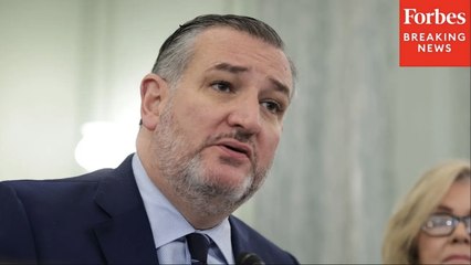 'Death By 1000 Cuts': Ted Cruz Rips Environmental Lawsuits Meant To 'Destroy' U.S. Energy Industry