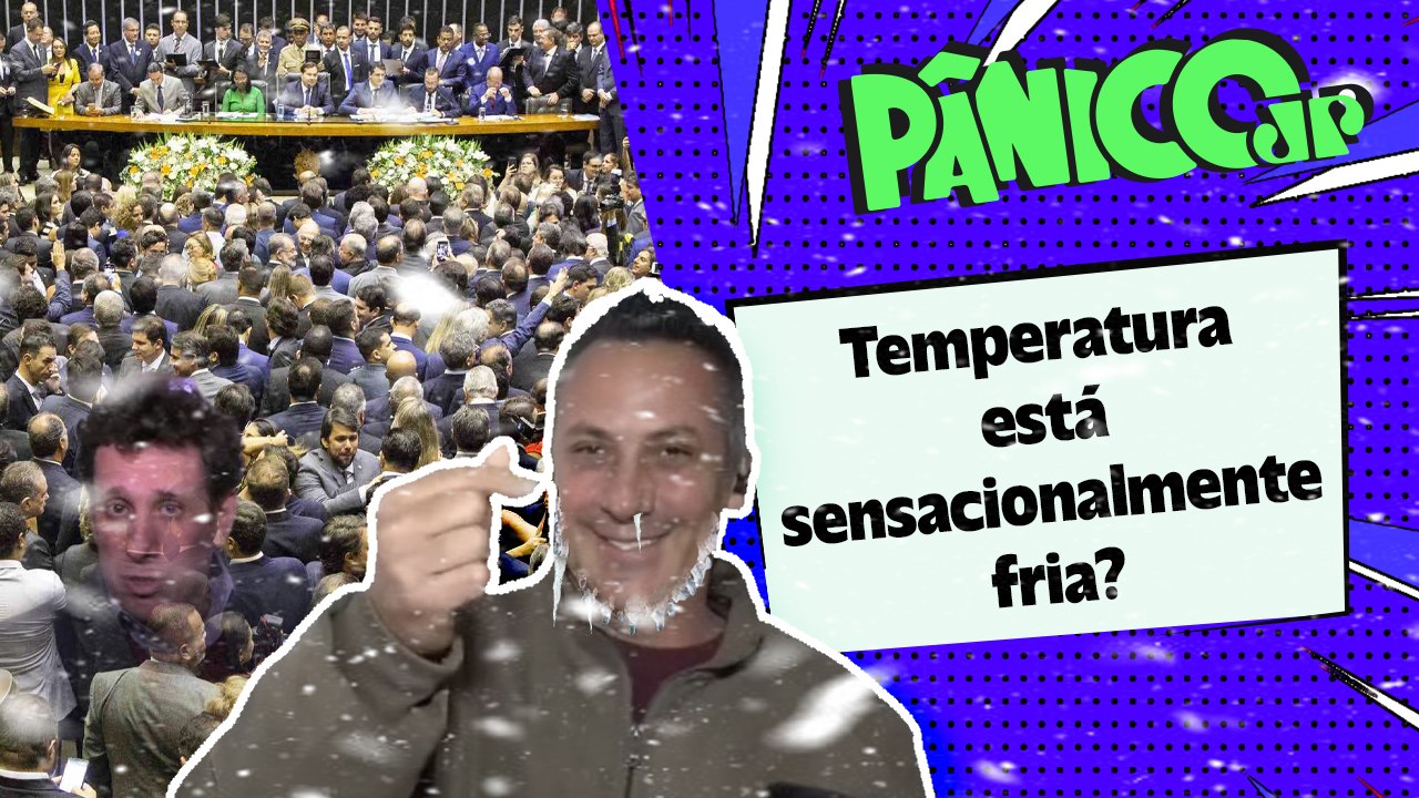 MAIS DEPUTADO, MAIS IMPOSTO, MAIS FRAUDE DO INS...