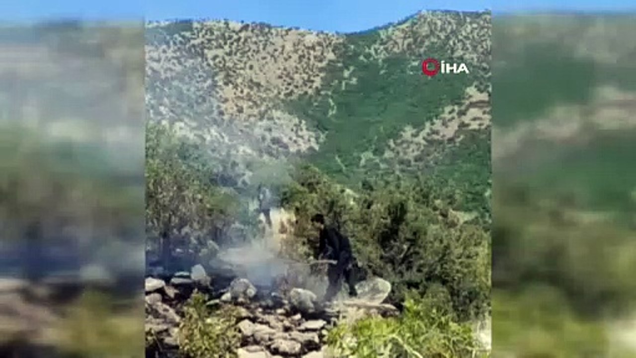 Van'da orman yangını!