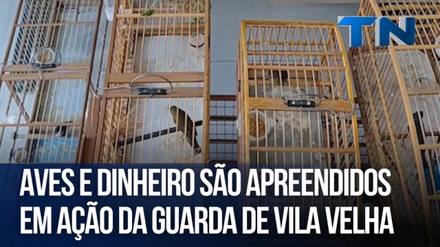 Aves e dinheiro são apreendidos em ação da Guarda de Vila Velha