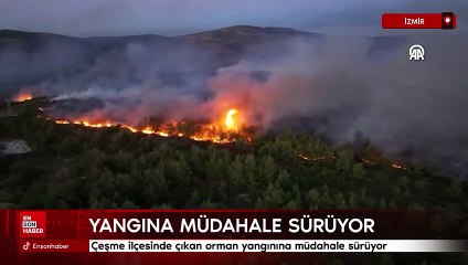 İzmir'in Çeşme ilçesinde çıkan orman yangınına müdahale sürüyor