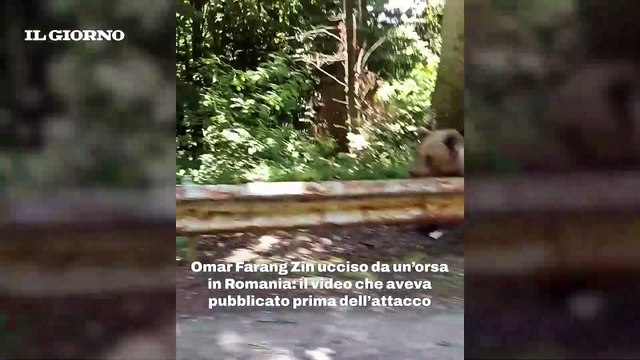 Motociclista ucciso da un orso in Romania, il video di Omar Farang Zin prima della morte: “Che bello, viene verso di me”