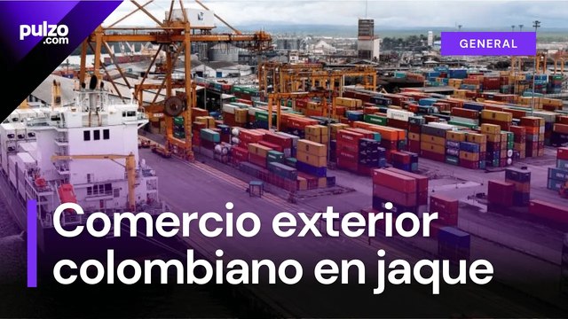 Fallas en la DIAN generan millonarias pérdidas y quejas de los importadores Pulzo