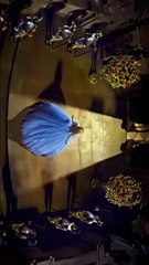 Animals video kids cartoon characters