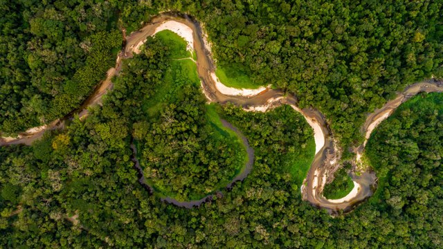 Científicos de América Latina proponen soluciones para mitigar efectos del cambio climático en la Amazonía