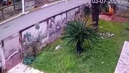 Atropelamento em Três Barras