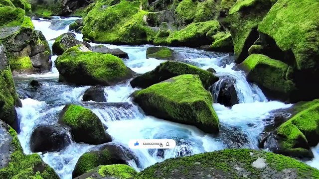 Whispering Pines Soundscape – Deep Natural Calm for Peaceful Sleep