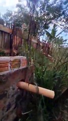 Dois homens são presos por tráfico na Rua Periquito em Apucarana