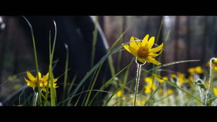 When He Comes Back | movie | 2016 | Official Trailer