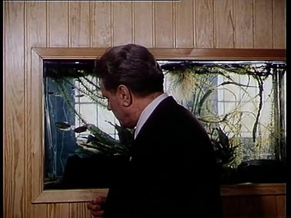 Verlobung in Hullerbusch (DDR 1979)