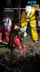 Dog rescued after two days in rural Victoria mine shaft