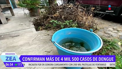 Al 23 de junio México registró 4 mil 534 casos de dengue