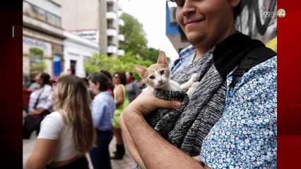 Programa Rutas Históricas ofrece recorrido patrimonial por la Guadalajara del periodo del Porfiriato