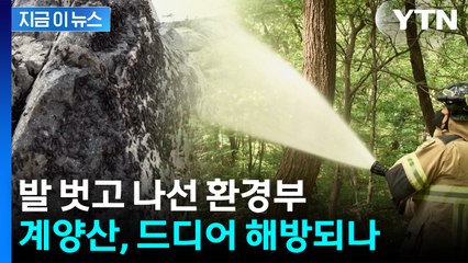 “계양산, 드디어 해방?”...환경부, 러브버그 방제 투입 [지금이뉴스] / YTN
