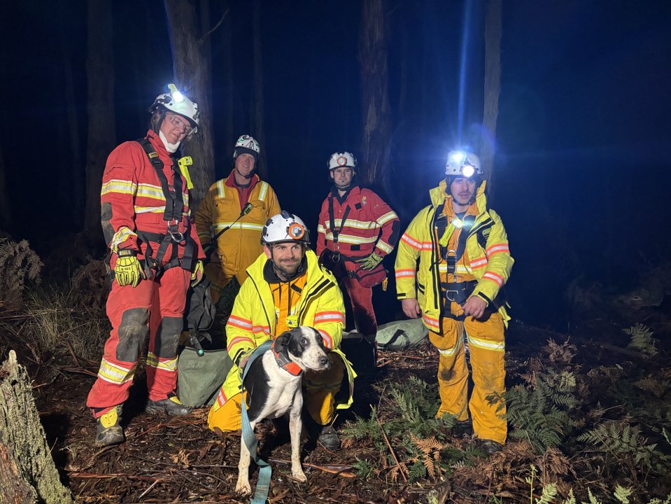 Beloved pet rescued from mineshaft