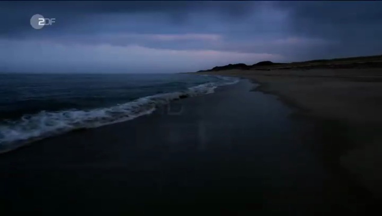 Nord Nord Mord -06- Clüver und die tödliche Affäre