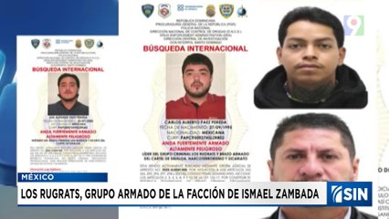 ¿Quiénes son Los Rugrats, Cártel de Sinaloa?  | Emisión Estelar SIN con Alicia Ortega