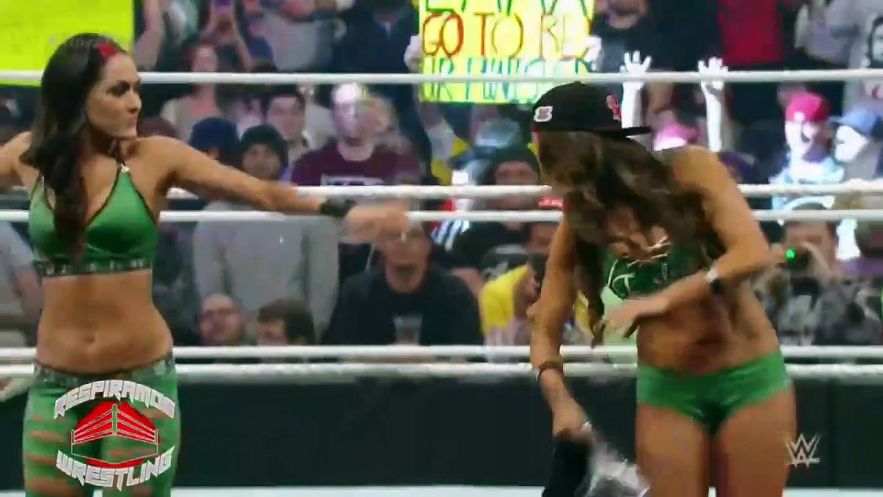 THE BELLA TWINS VS NATALYA Y PAIGE ROYAL RUMBLE 2015