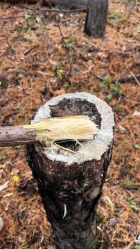 5-Minute Crafts - Her Form_ Her Throne_ Crafting A Chair Like No Other -