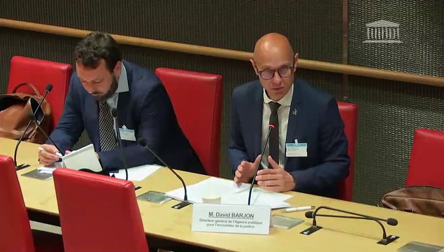 Accès à une justice adaptée aux besoins ultramarins : M. David Barjon, directeur général de l’Agence publique pour l’immobilier de la justice - Jeudi 3 juillet 2025