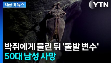 "치료법 없다"...몇 개월 전 박쥐에게 물렸다가 사망 [지금이뉴스]  / YTN
