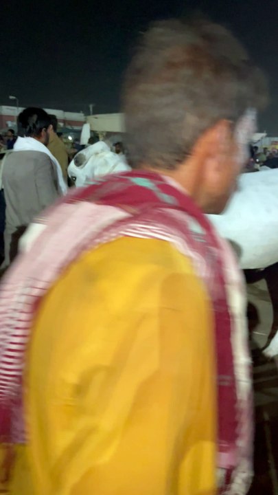 Pets Life #petslife #Viral #Funny #beauty