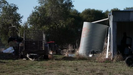 Man shot dead by police in regional Victoria after seven-hour stand off
