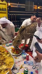 Cheetah Joins Family Dinner –You Won’t Believe Their Reaction!