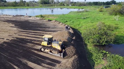 Wonderful Activity Bulldozer SHANTUI Moving Sand into Water with many Dumps Truck 25T Unloading Sand