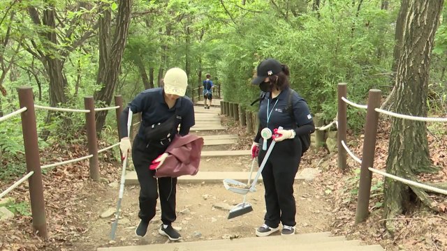환경부-계양구청, 계양산 러브버그 긴급 방제 작업 / YTN
