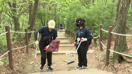 환경부-계양구청, 계양산 러브버그 긴급 방제 작업 / YTN