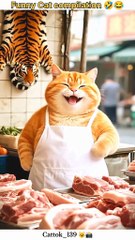 Beautifully works a beautifull cat