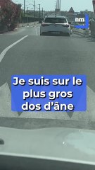 "Le plus gros dos d'âne que t'as jamais vu de ta vie !" : mais pourquoi cet endroit de la Côte d'Azur fait le buzz ?