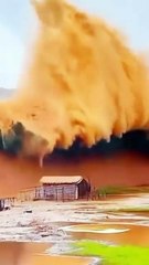 Texas Floods: A Deadly Threat to Animals