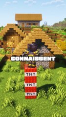 Une technique SECRÈTE sur Minecraft 😱