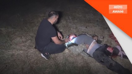 Singa terlepas dari zoo, serang petani