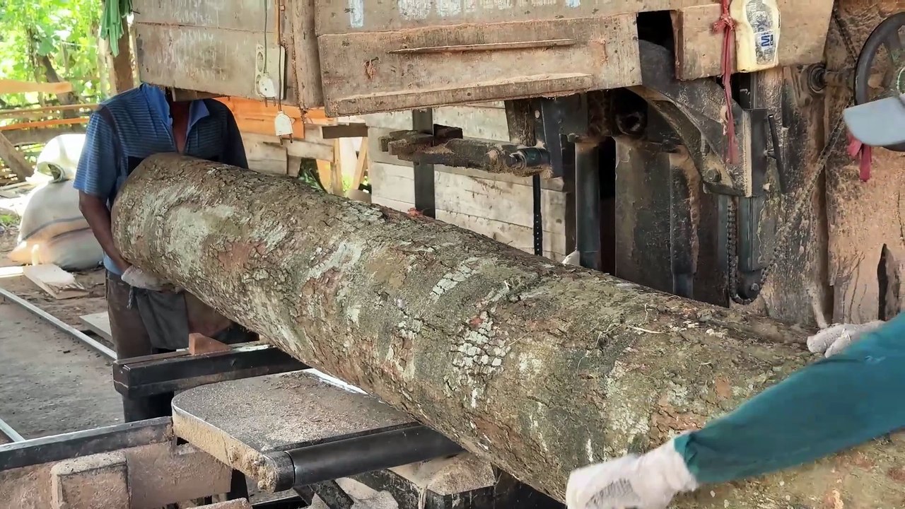 Process of Sawing Wood 5x7 Using a Sawmill Live Demonstration