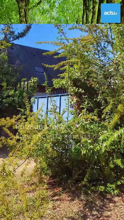 La ville de Tours va acheter un parc de 1,7 ha pour une somme paraissant dérisoire et en faire un jardin public