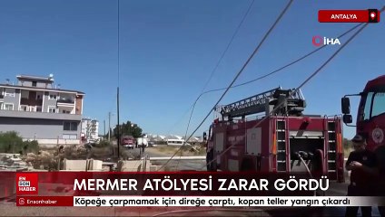 Köpeğe çarpmamak için direğe çarptı, kopan teller yangın çıkardı