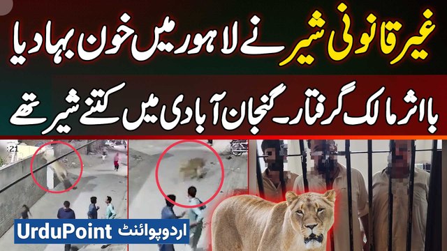 Lion Attack In Lahore Johar Town, Sher Dera Se Kese Bhaga? Kab Se Pala Hova Tha? Lion Owner Arrested