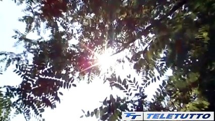 Video News - Caldo e reti, consumi record