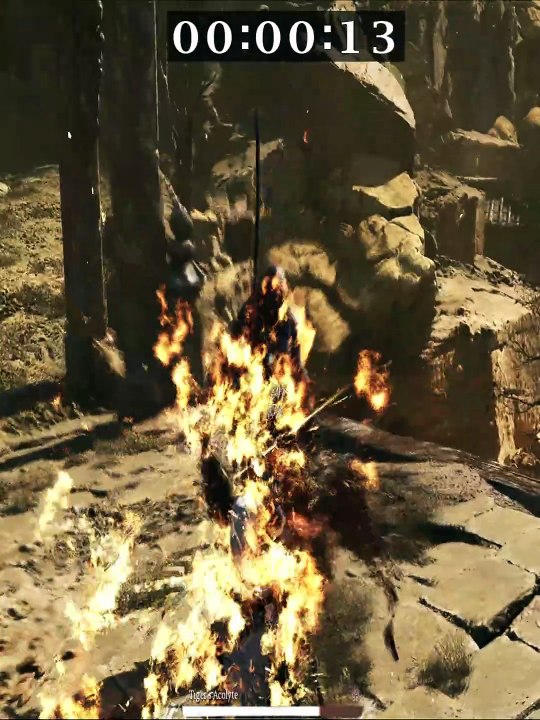 Boss Chapter 2 tiger Acolyte
