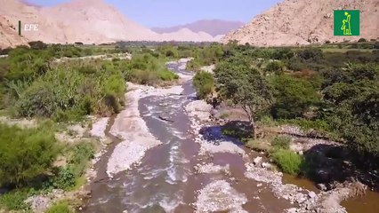 La joya prehispánica de Perú de más de 3.800 años, Peñico, abre sus puertas al mundo